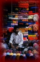 Shaun Laws Photography - india