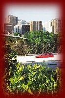 Shaun Laws Photography - Washington DC Area
